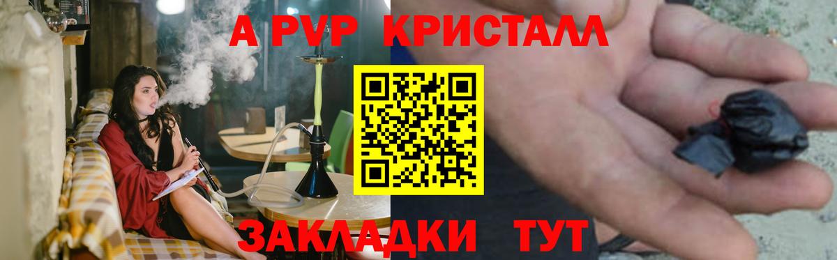A PVP СК Новочеркасск