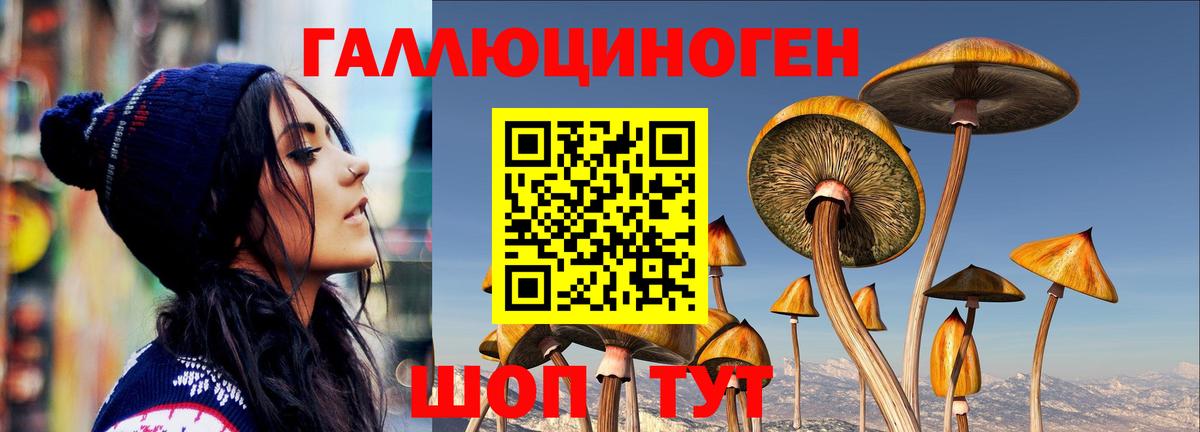 Псилоцибиновые грибы Psilocybine cubensis Новочеркасск