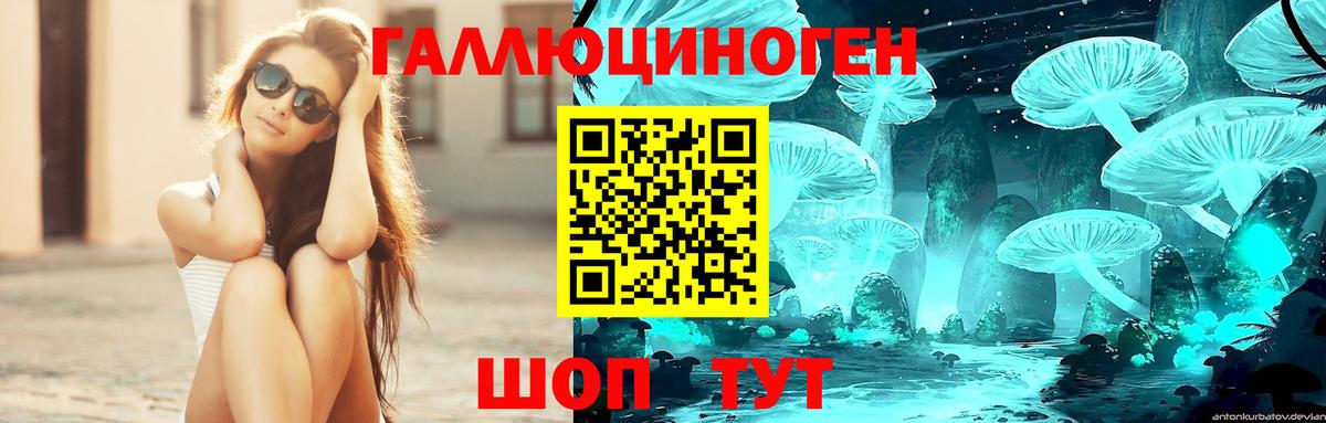 Новочеркасск  Псилоцибиновые грибы MAGIC MUSHROOMS  Вход с VPN  Галлюциногенные грибы мухоморы 